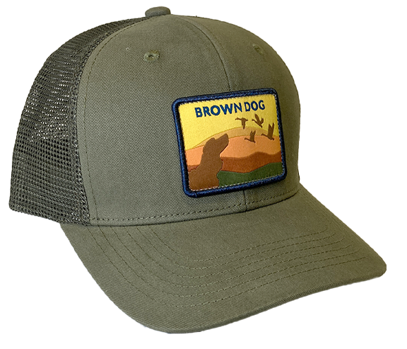 Brown Dog Sunset Trucker