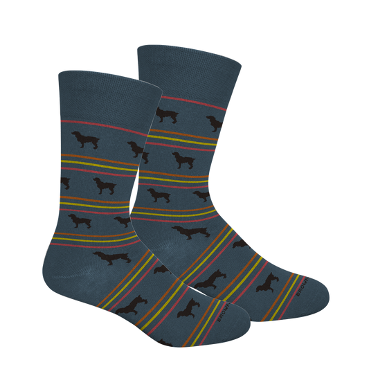 Boykin Stripe Socks (Fun Size)